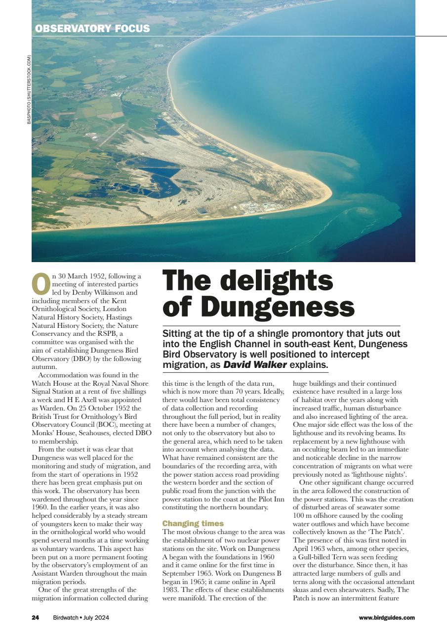 Birdwatch Magazine Preview Pages