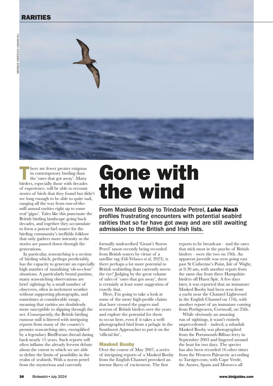 Birdwatch Magazine Preview Pages