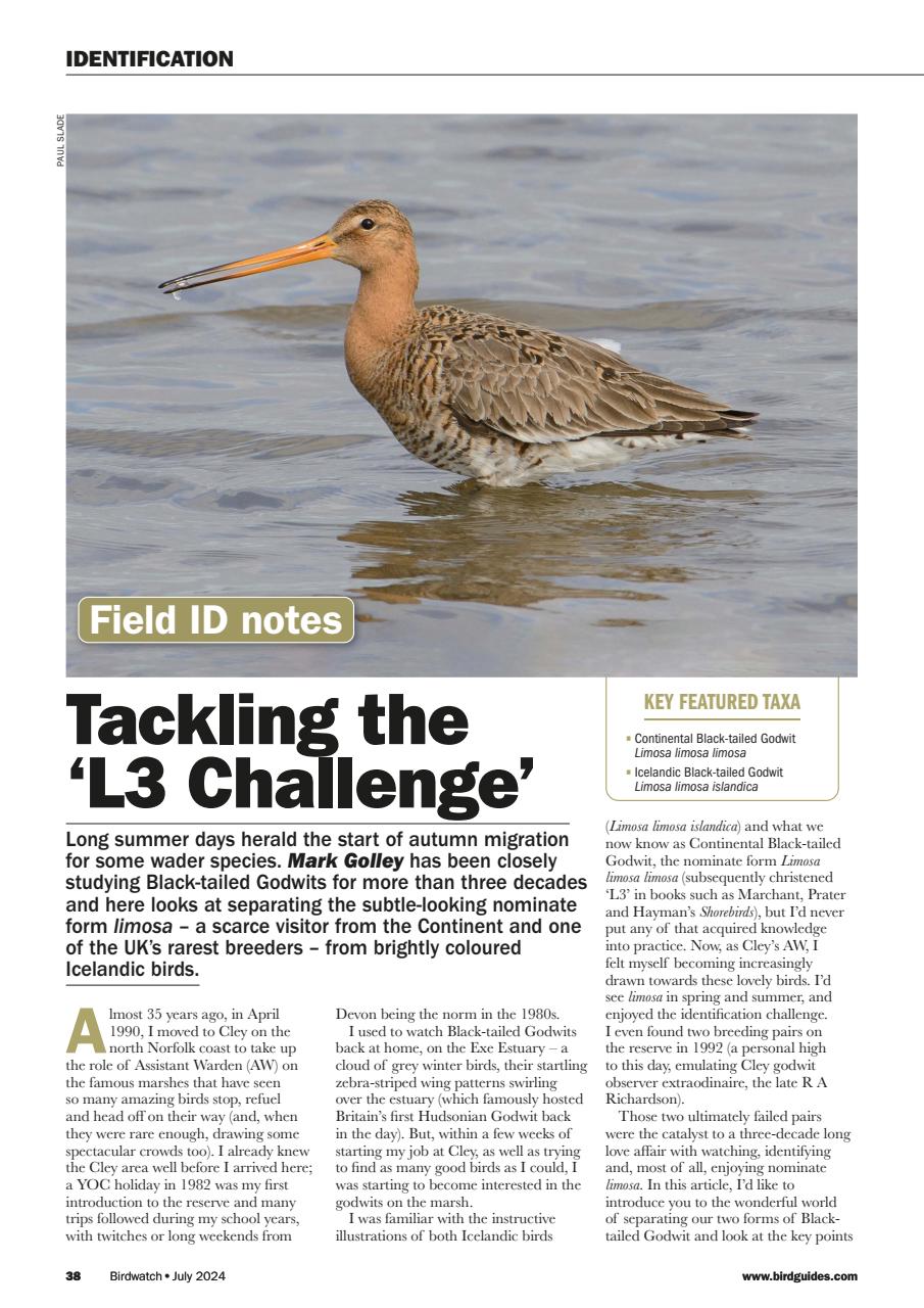 Birdwatch Magazine Preview Pages