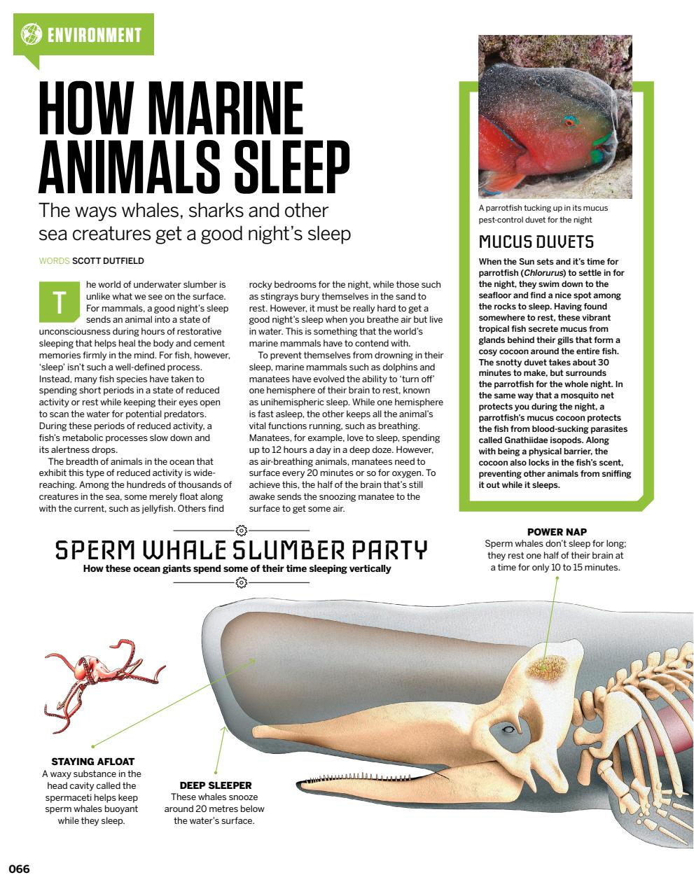 How It Works Bookazine Preview Pages