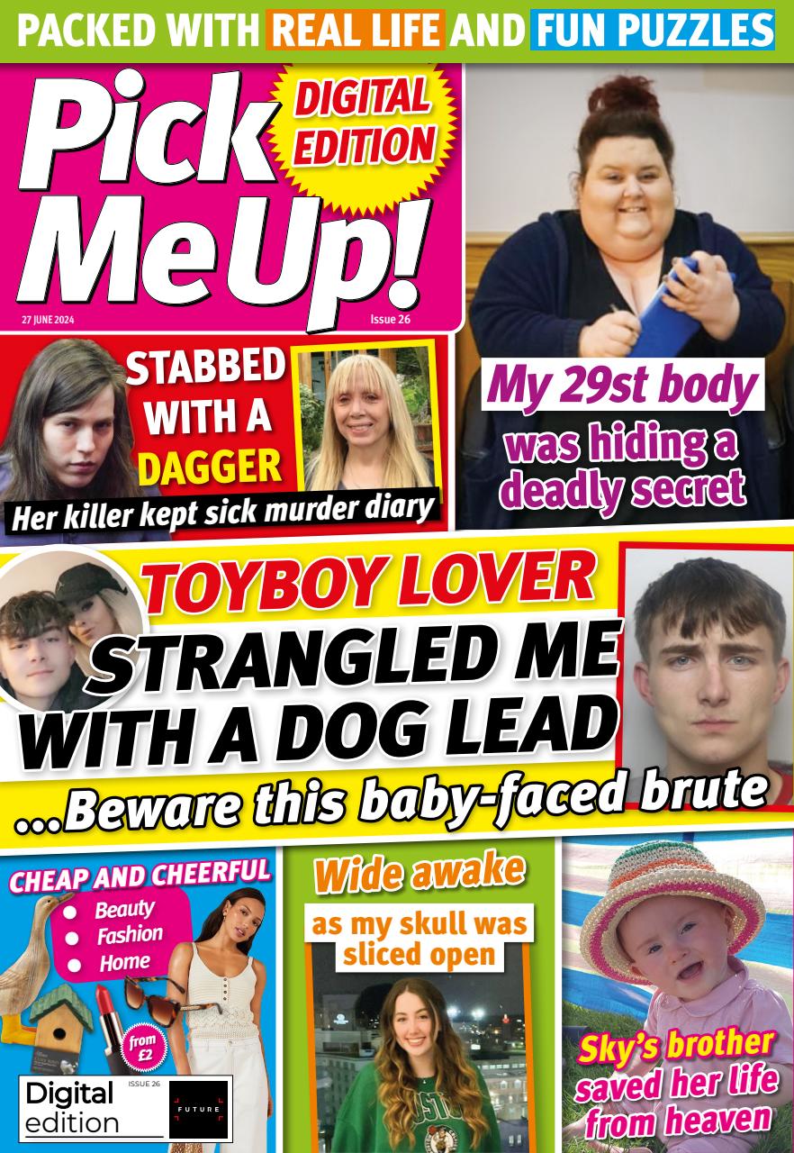 Pick Me Up Preview Pages