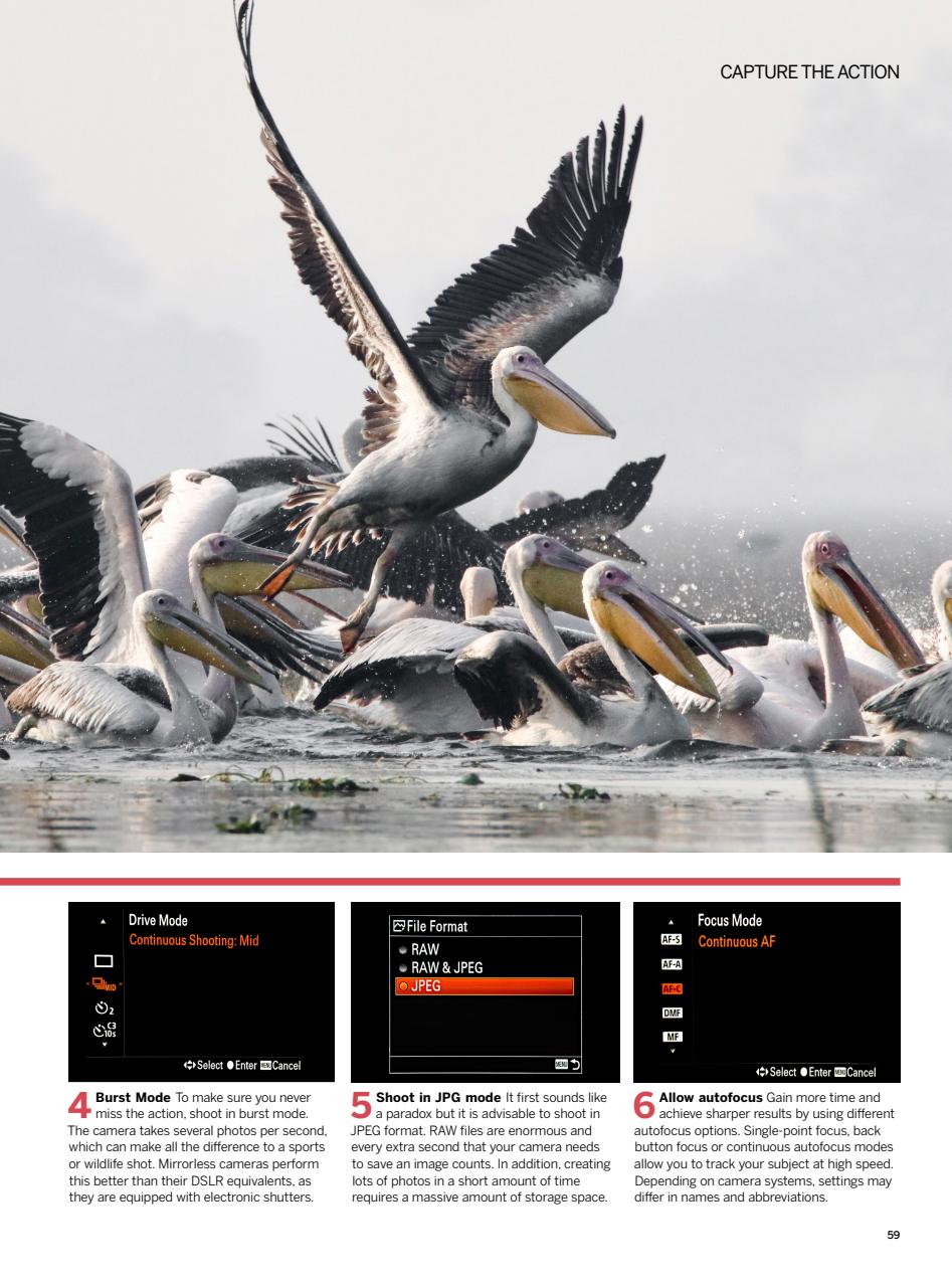 Photography Bookazine Preview Pages