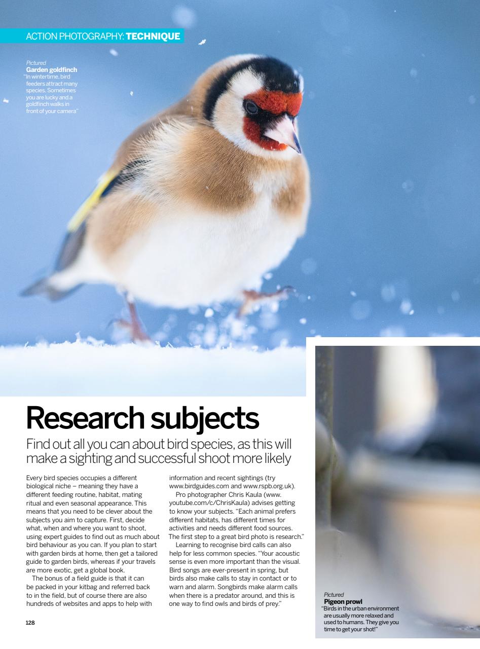 Photography Bookazine Preview Pages