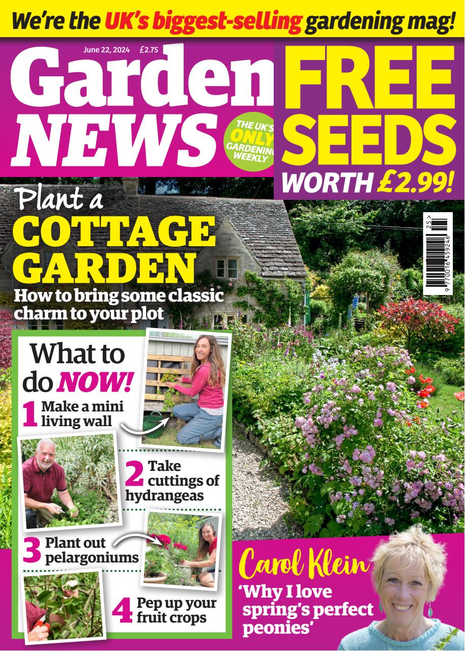Garden News Preview Pages
