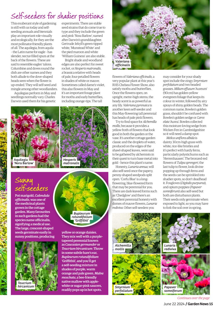 Garden News Preview Pages