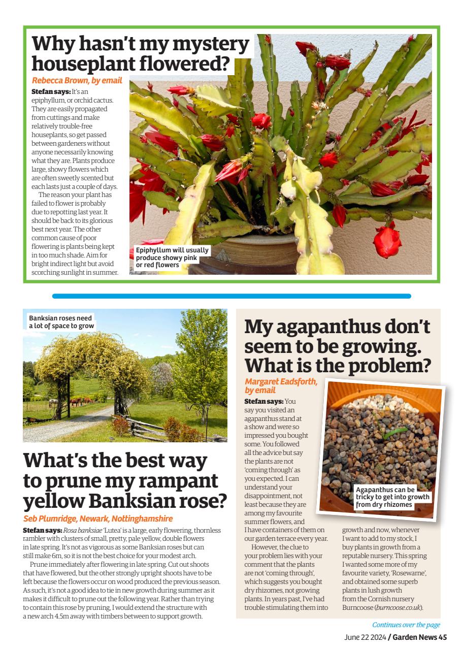 Garden News Preview Pages