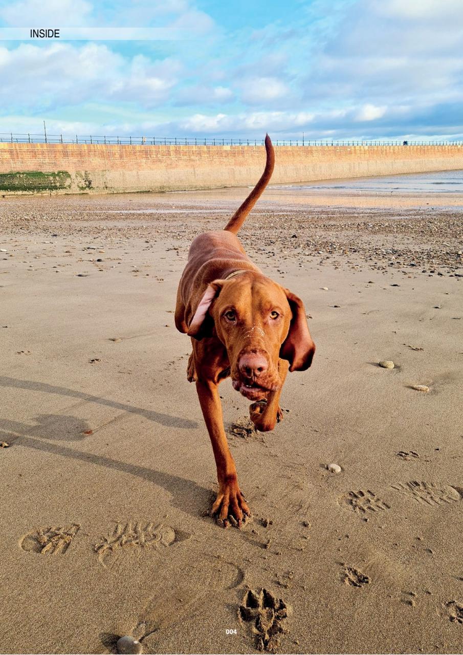 Edition Dog Preview Pages