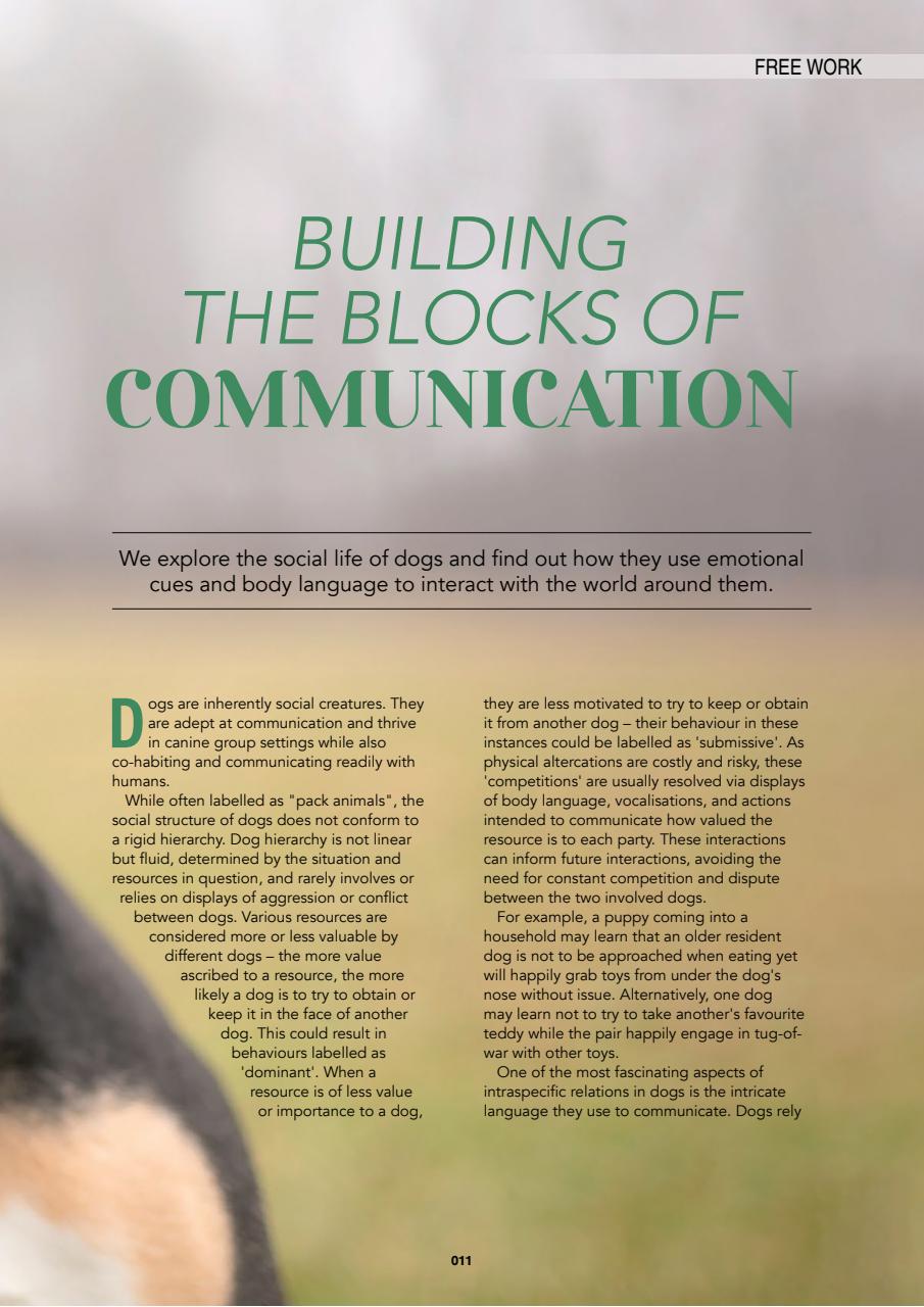 Edition Dog Preview Pages