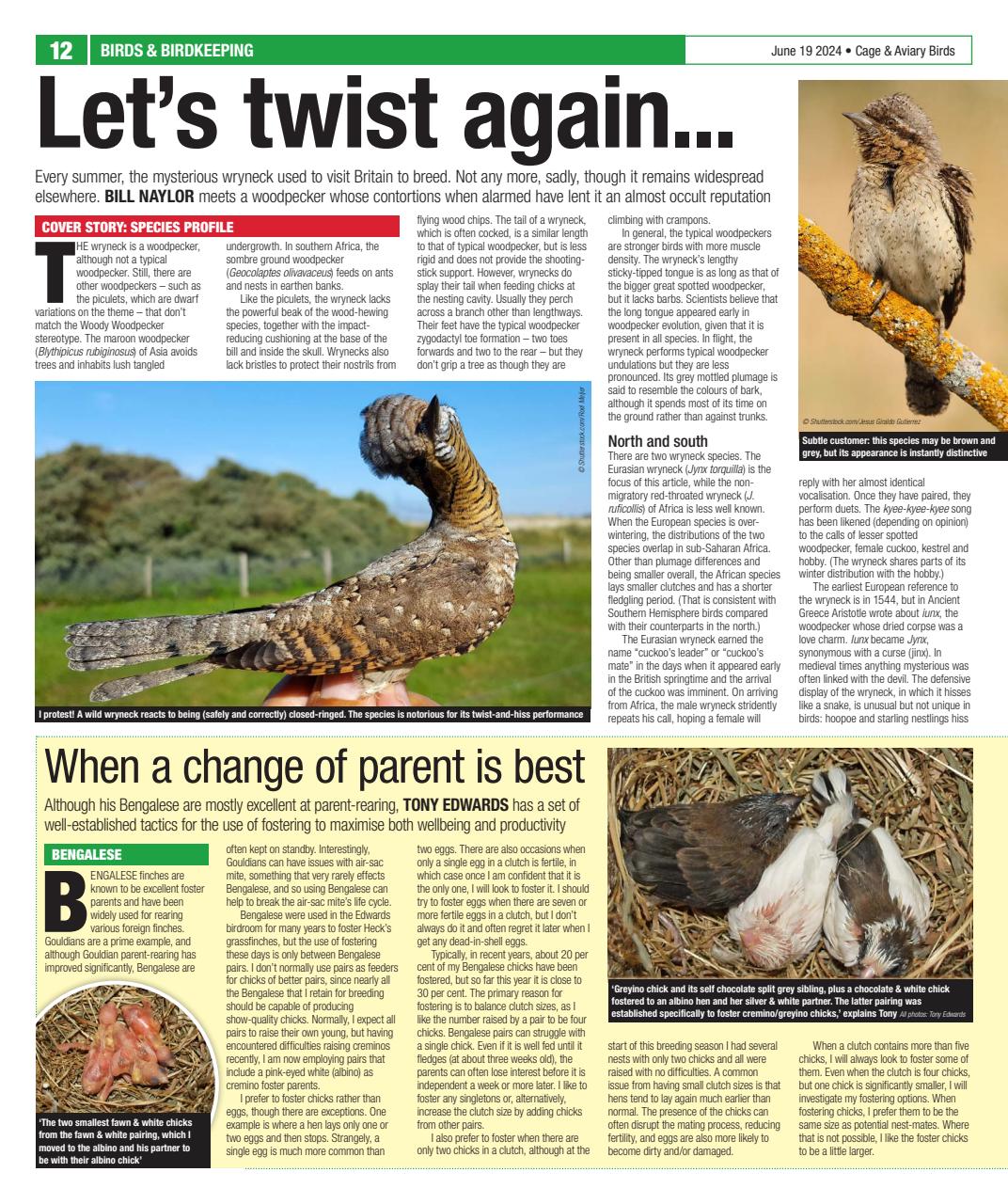 Cage & Aviary Birds Preview Pages