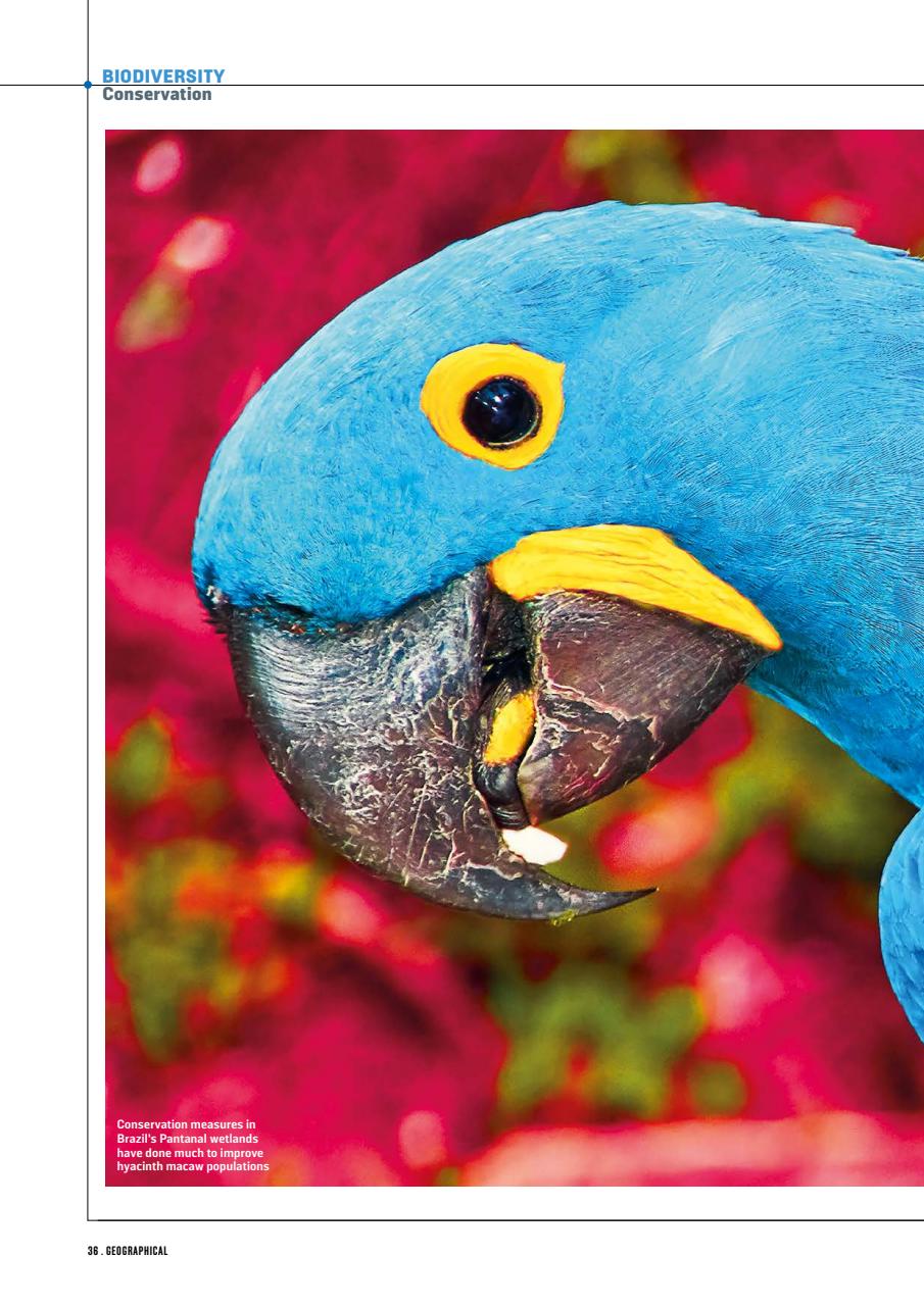 Geographical Preview Pages