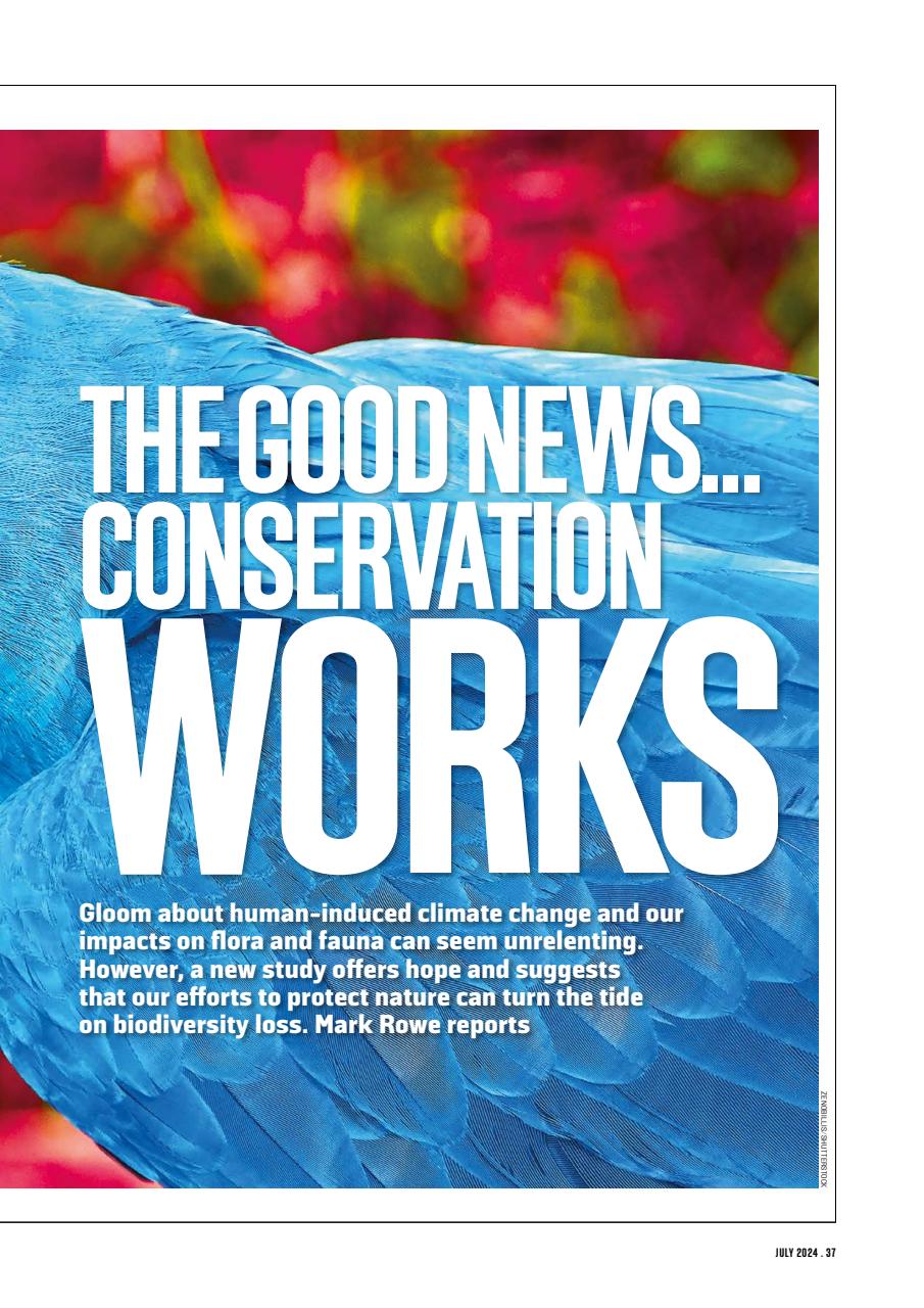 Geographical Preview Pages