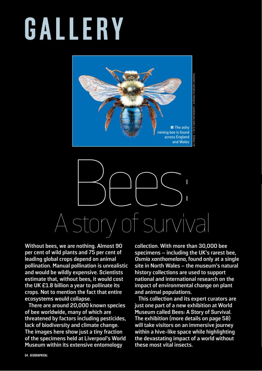 Geographical Preview Pages