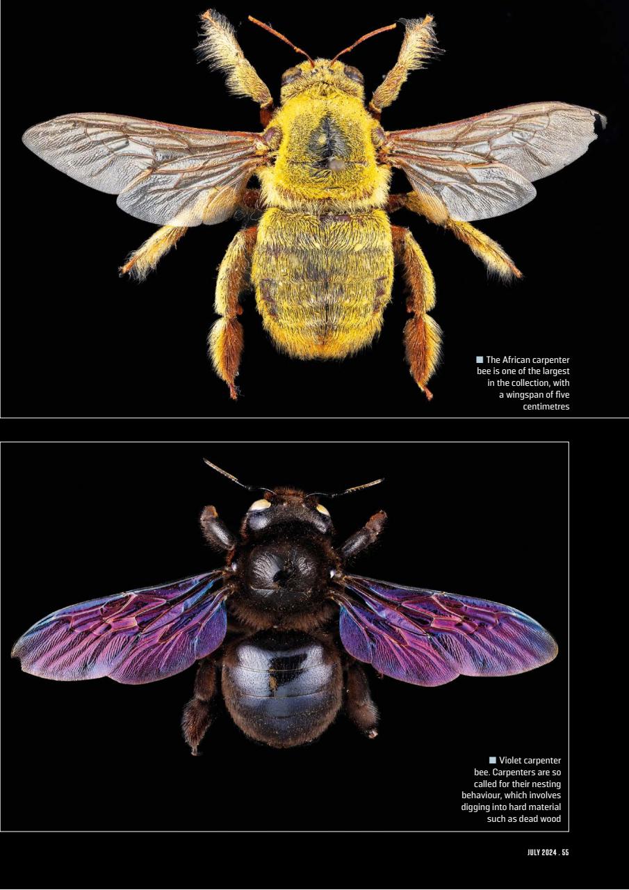 Geographical Preview Pages