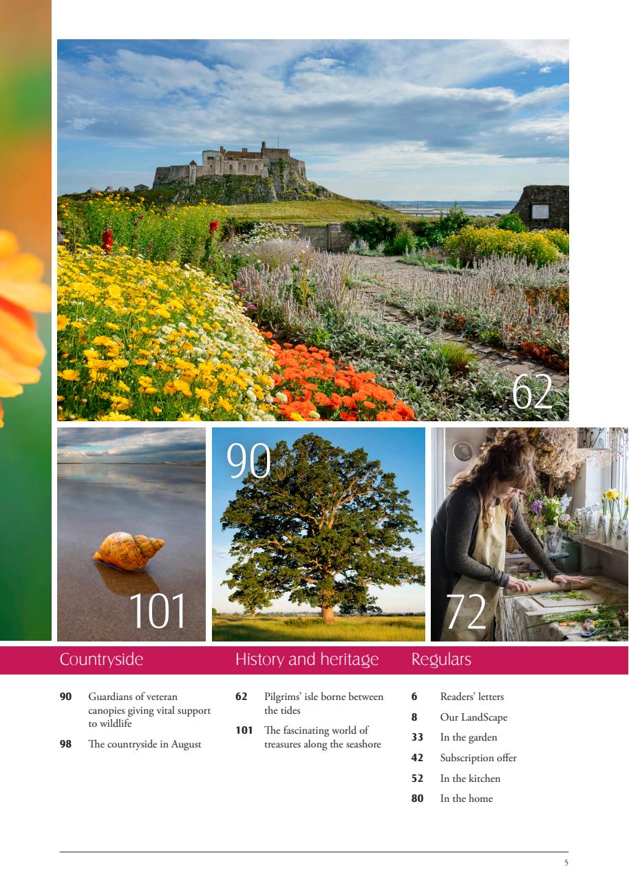 LandScape Preview Pages