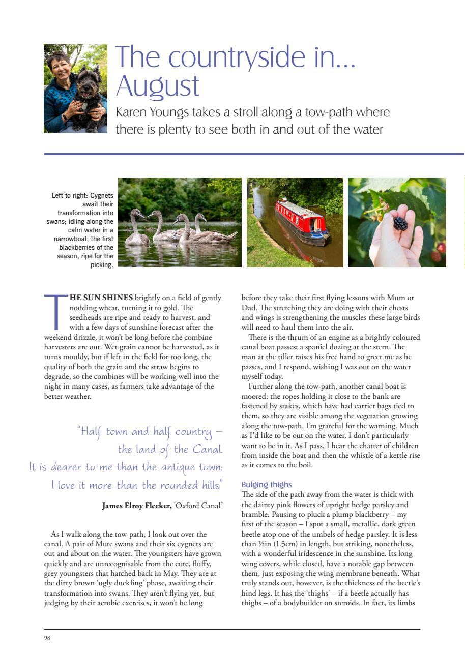 LandScape Preview Pages