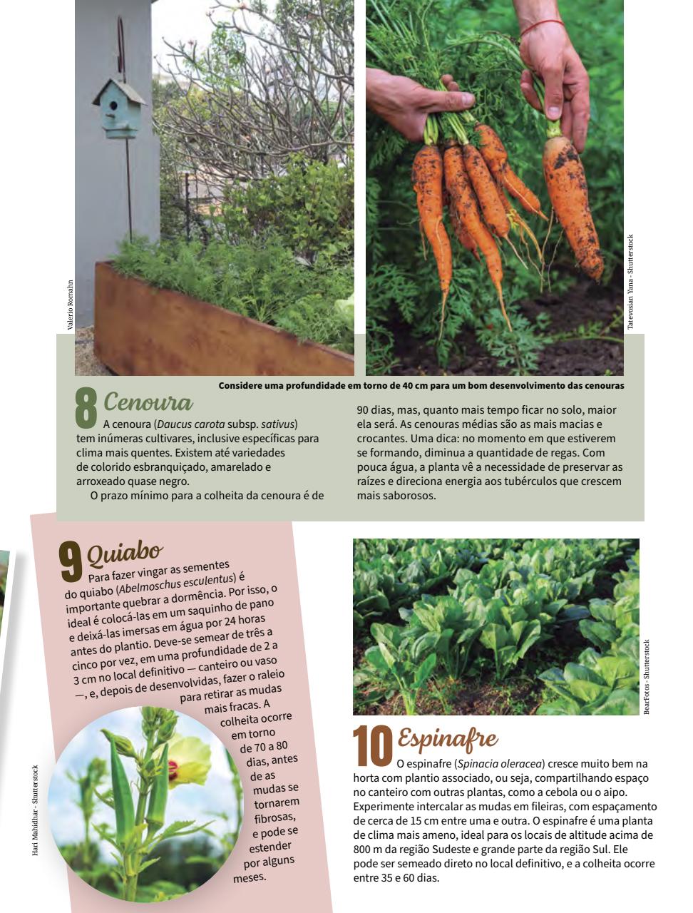 Natureza Preview Pages