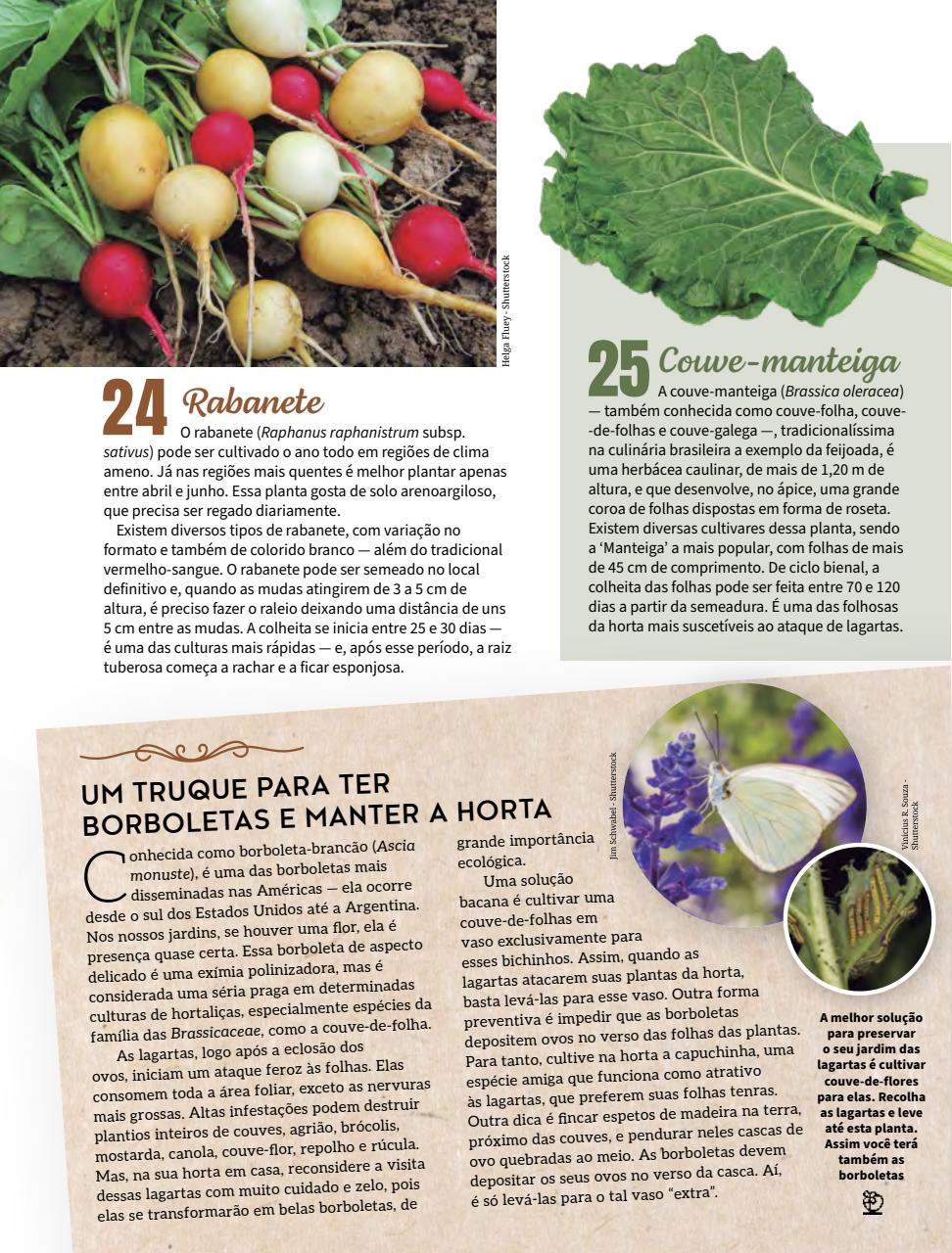 Natureza Preview Pages