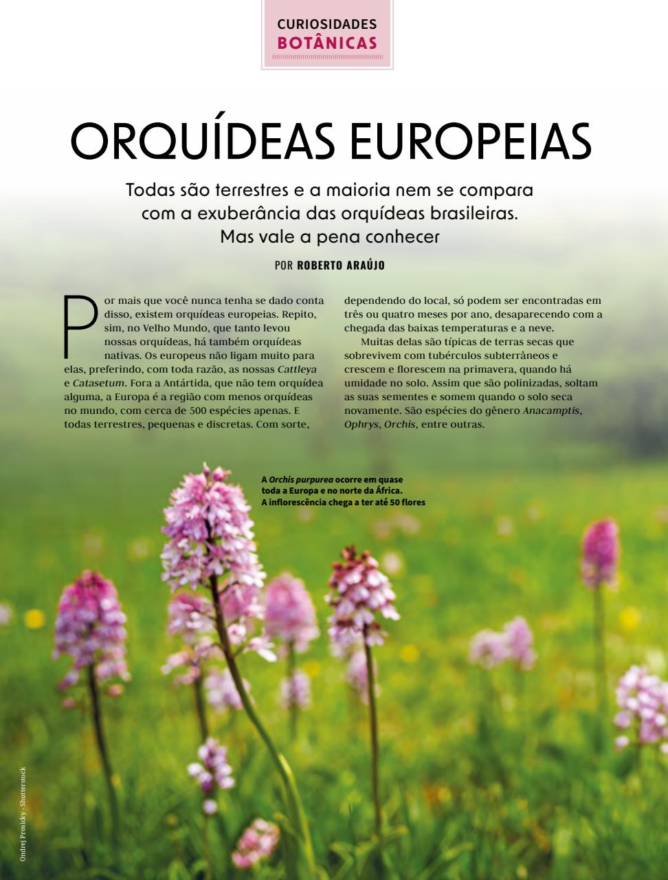 Natureza Preview Pages