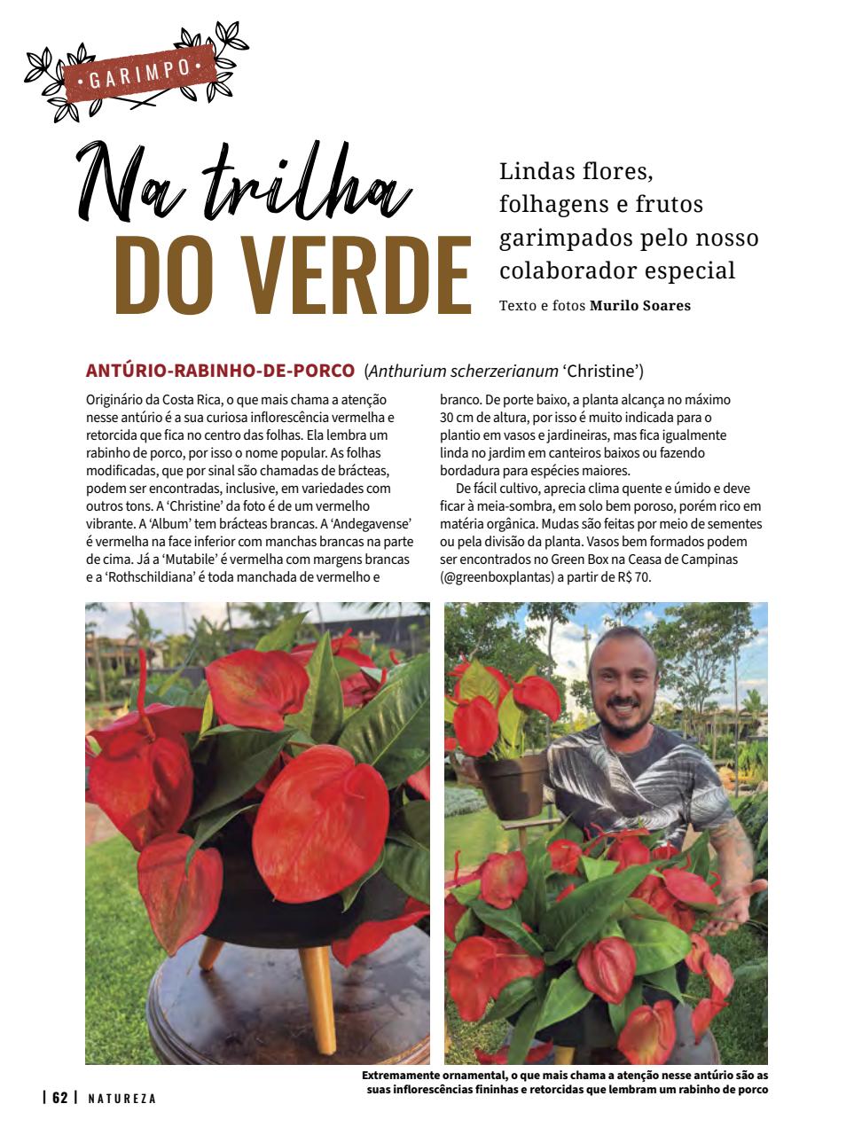 Natureza Preview Pages