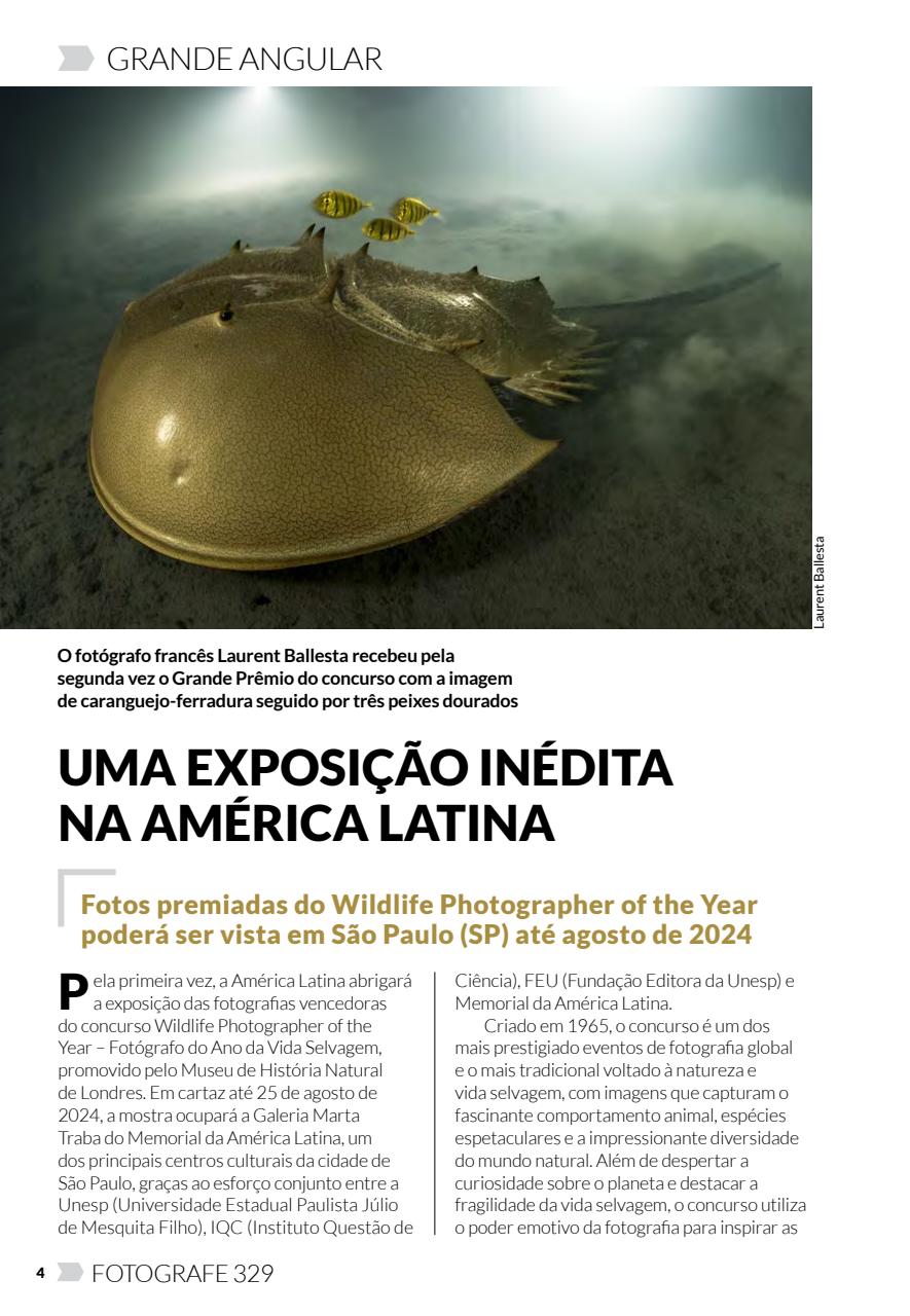 Fotografe Preview Pages