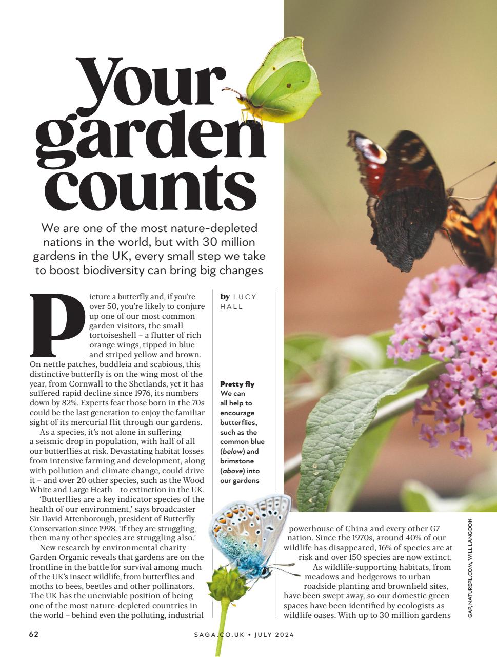 Saga Magazine Preview Pages