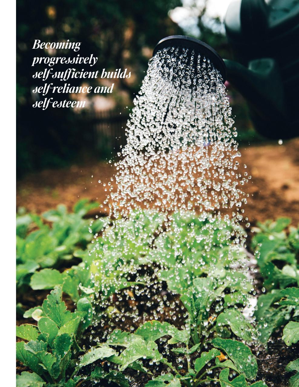 Gather Preview Pages