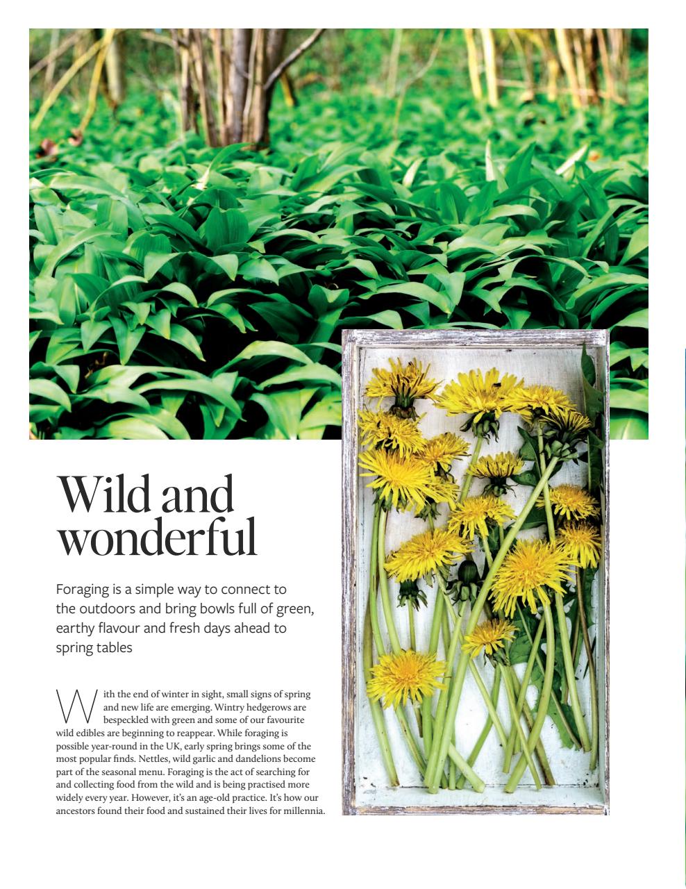 Gather Preview Pages