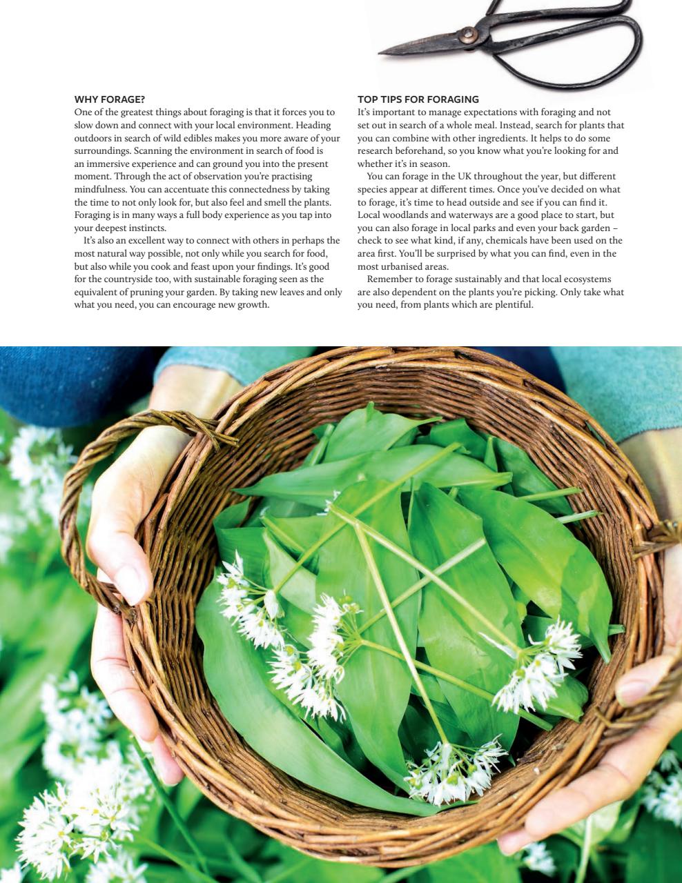 Gather Preview Pages