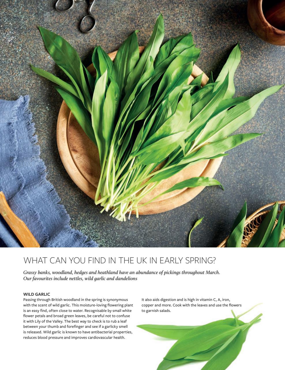 Gather Preview Pages