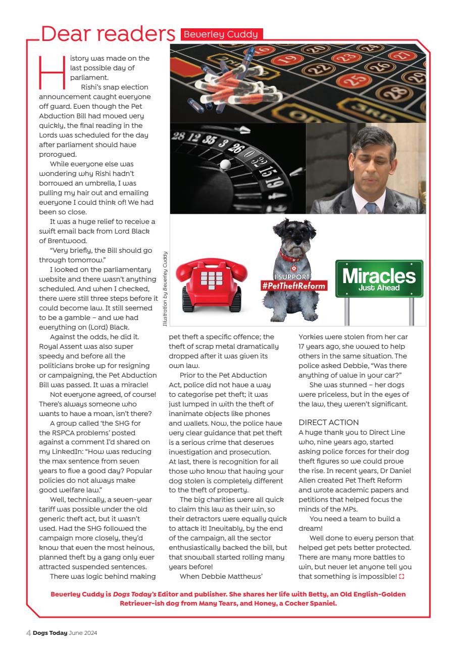 Dogs Today Magazine Preview Pages