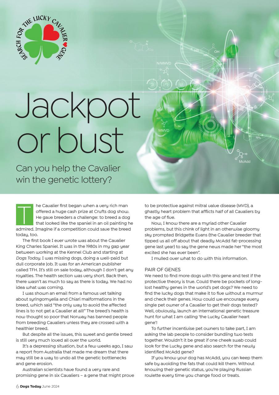 Dogs Today Magazine Preview Pages