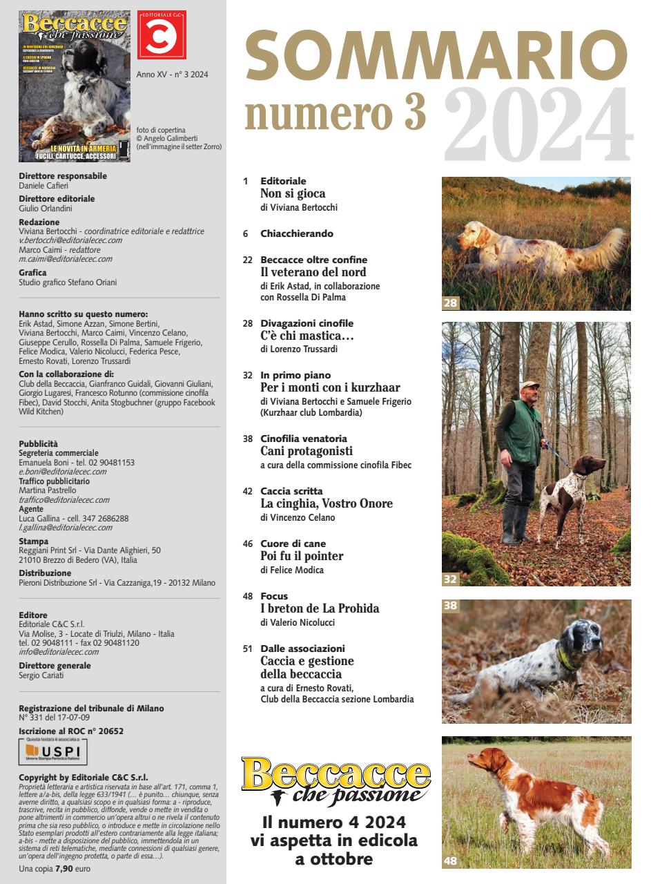 BECCACCE CHE PASSIONE Preview Pages