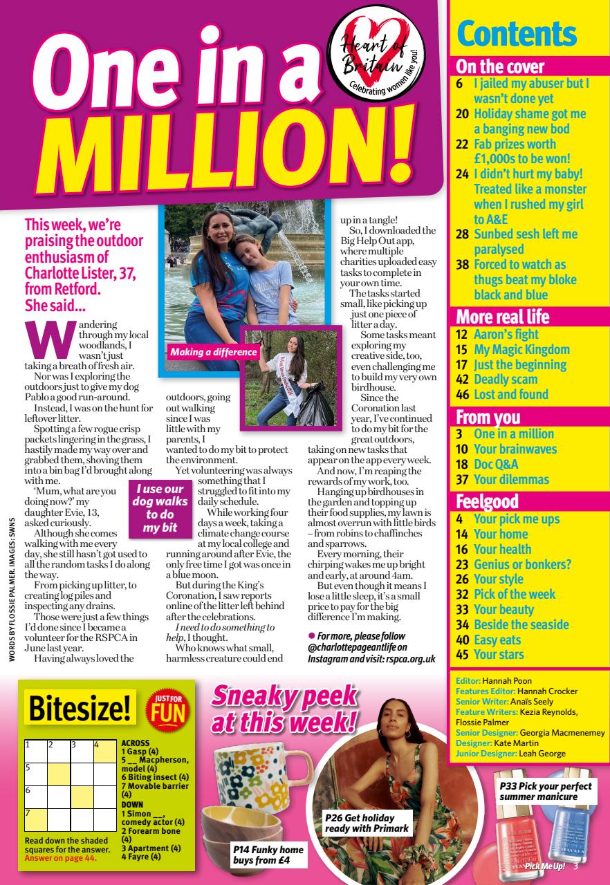 Pick Me Up Preview Pages