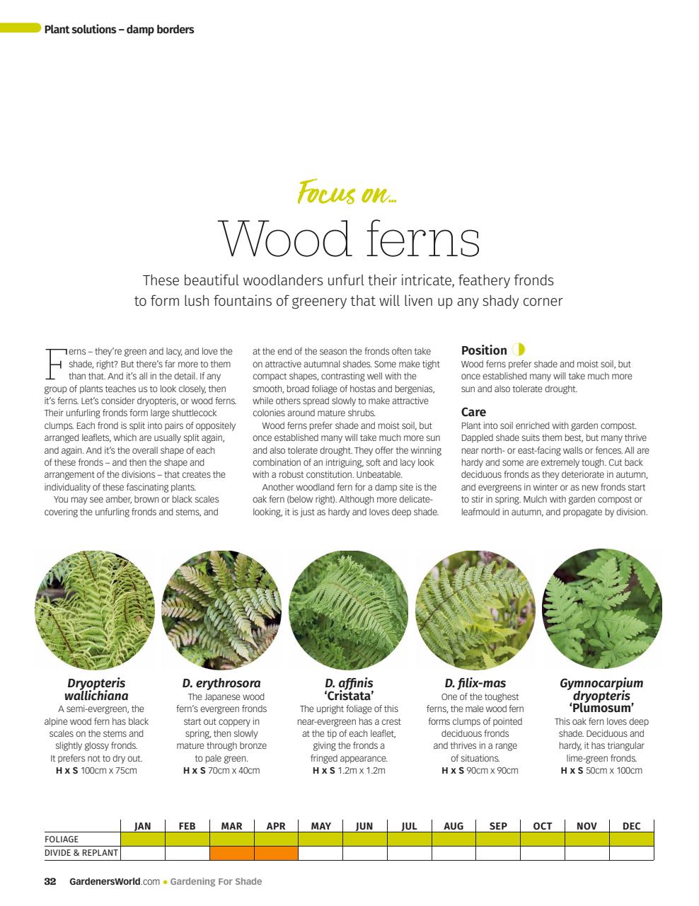 BBC Gardeners’ World Magazine Preview Pages