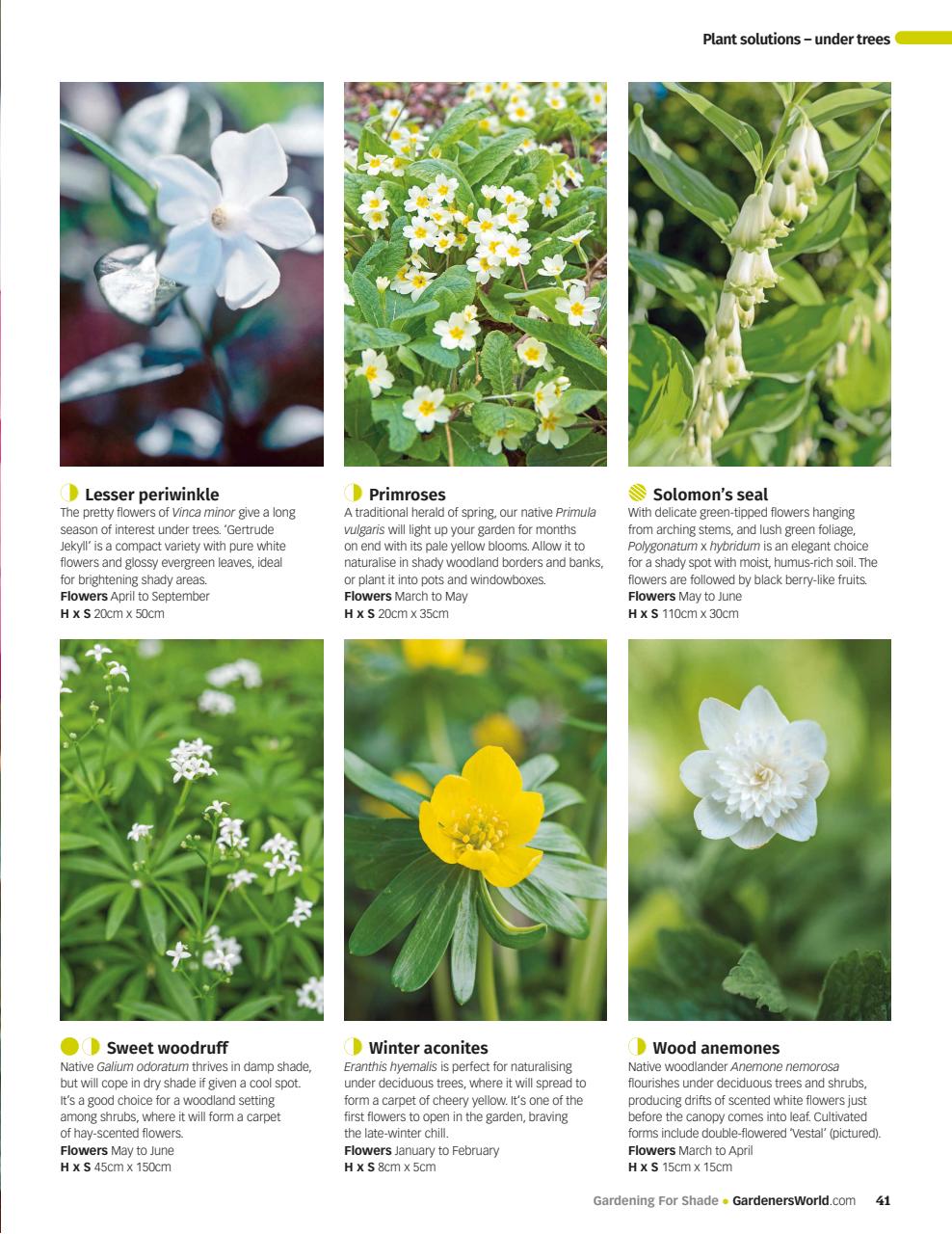 BBC Gardeners’ World Magazine Preview Pages