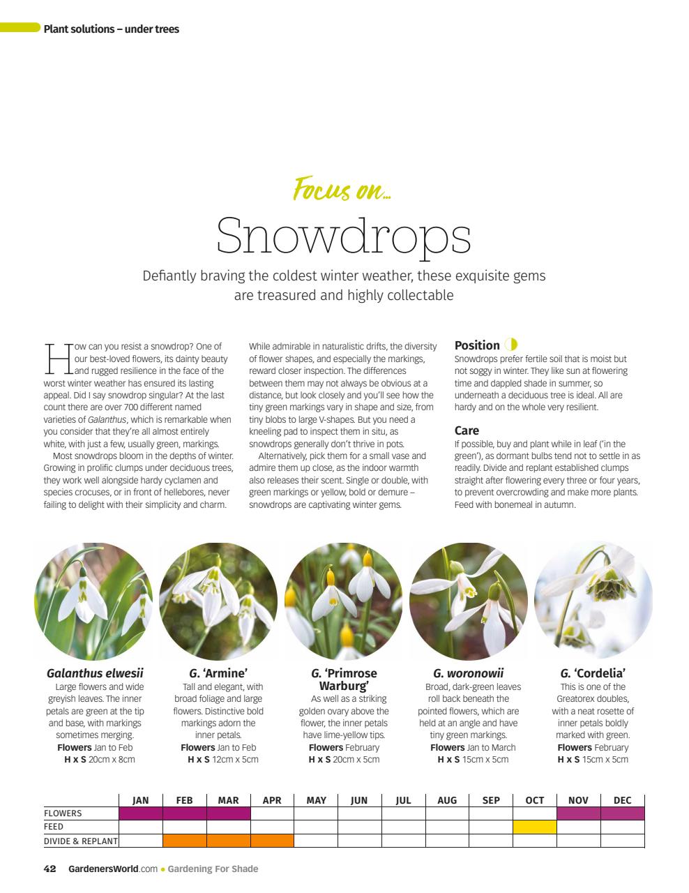 BBC Gardeners’ World Magazine Preview Pages