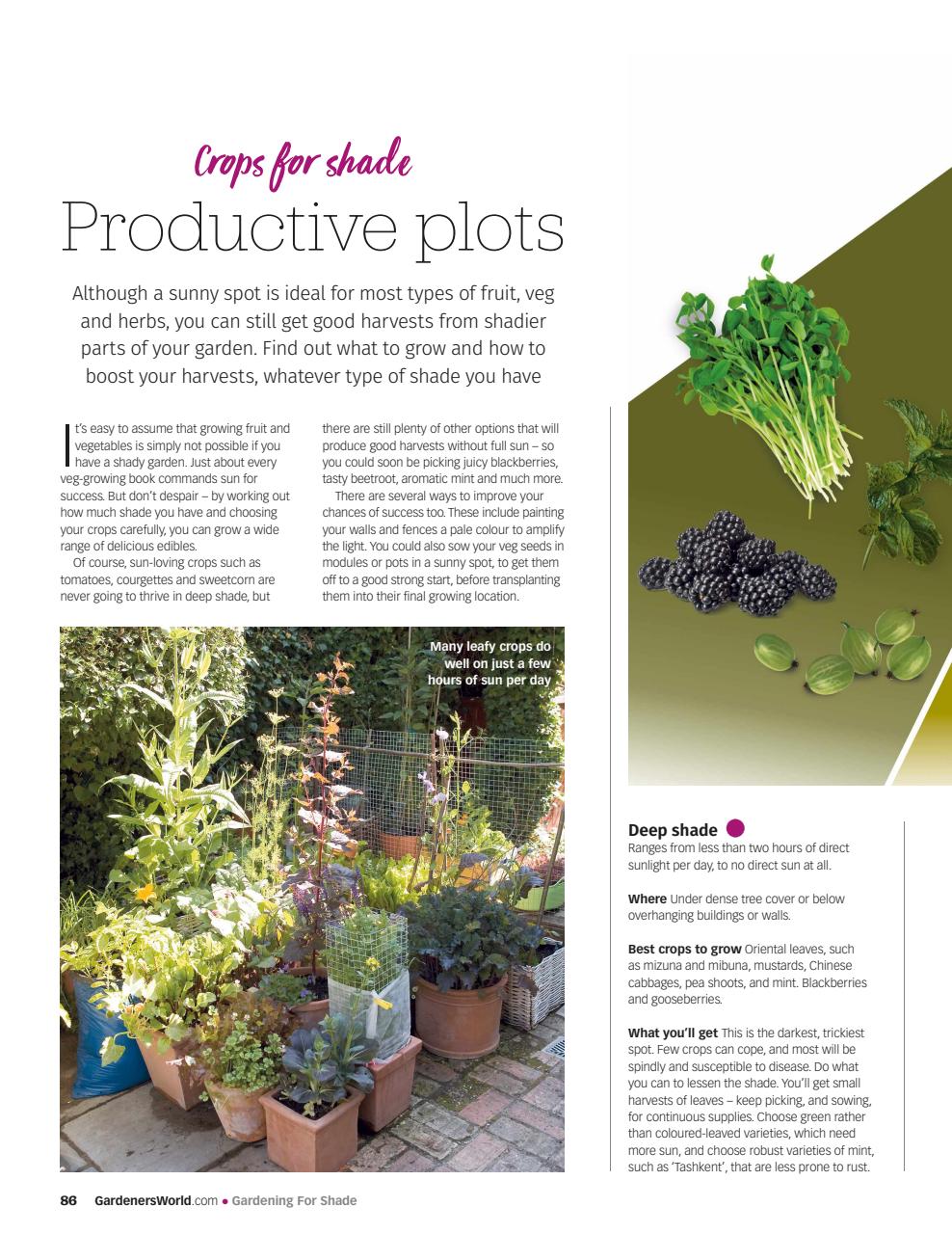BBC Gardeners’ World Magazine Preview Pages