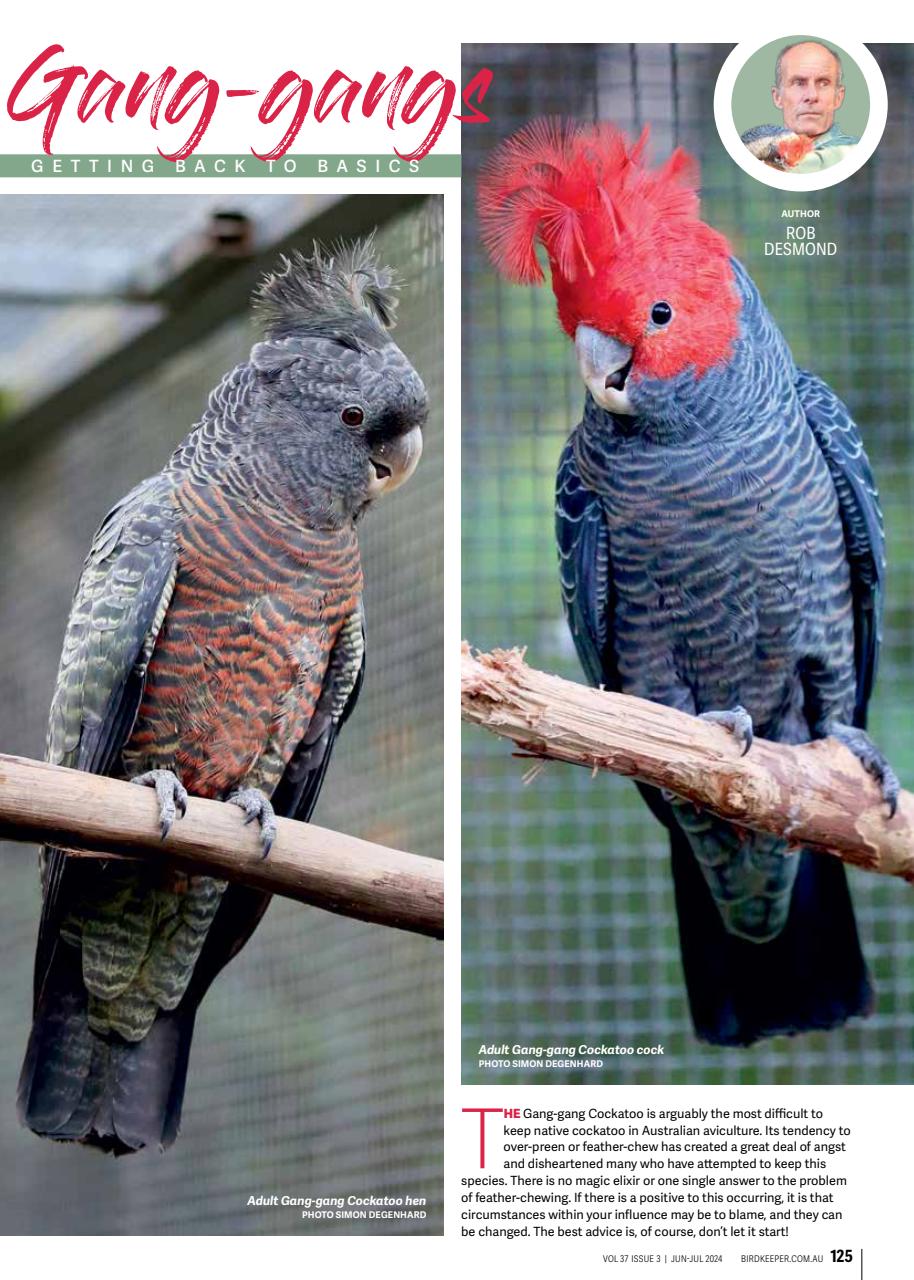 Australian Birdkeeper Magazine Preview Pages