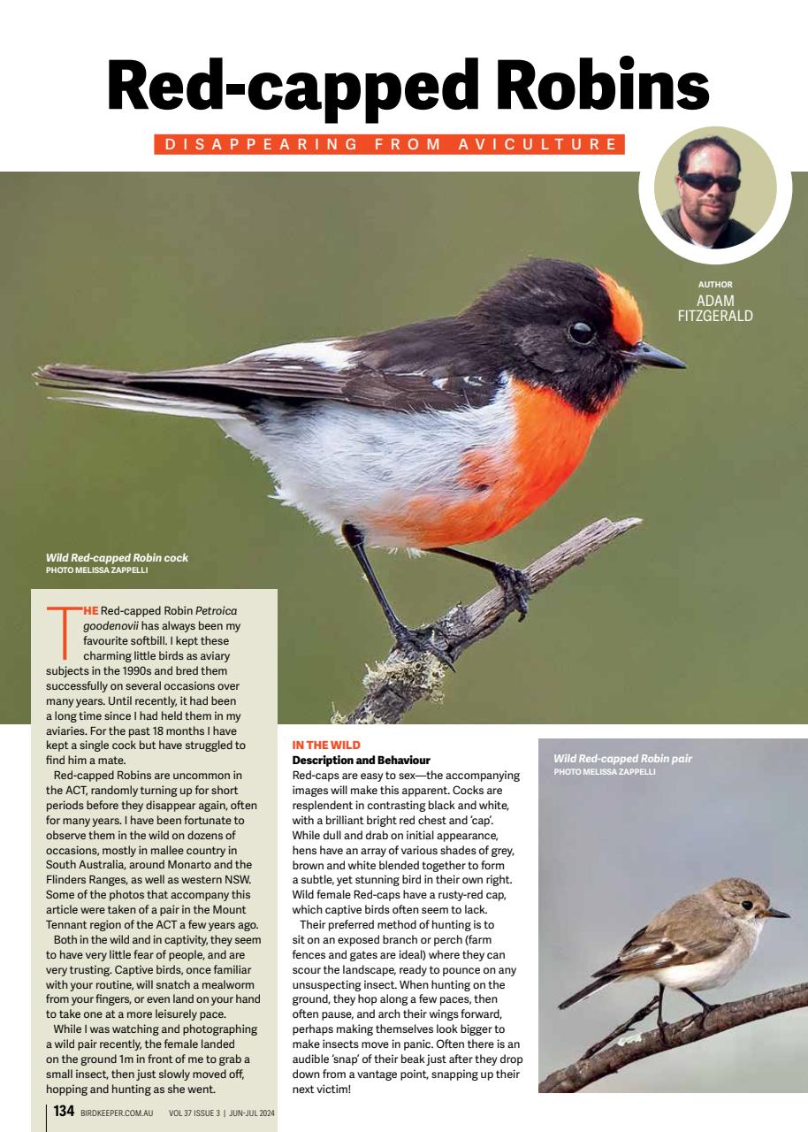 Australian Birdkeeper Magazine Preview Pages
