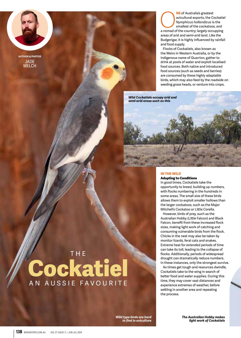 Australian Birdkeeper Magazine Preview Pages