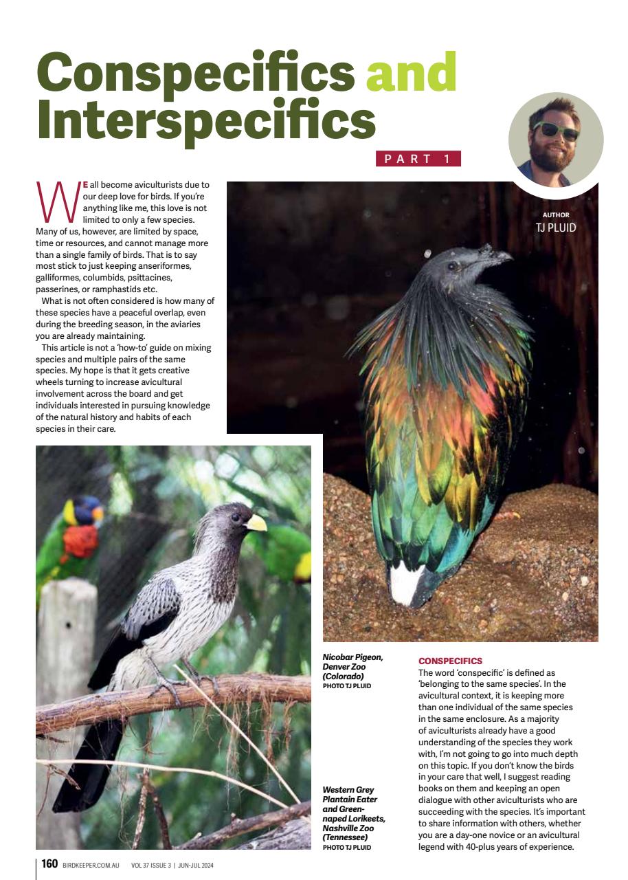 Australian Birdkeeper Magazine Preview Pages