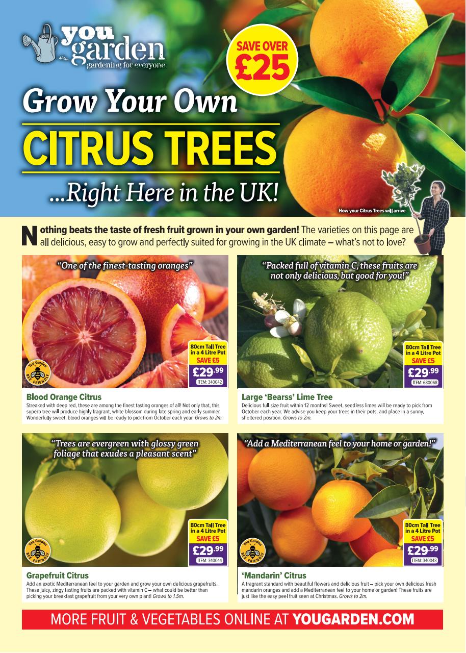 Garden News Preview Pages