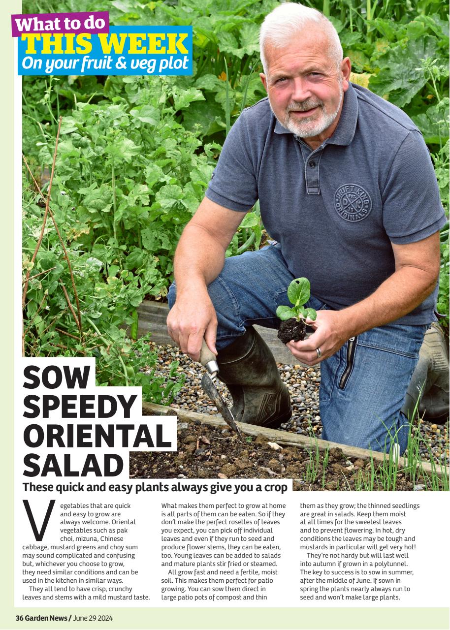Garden News Preview Pages