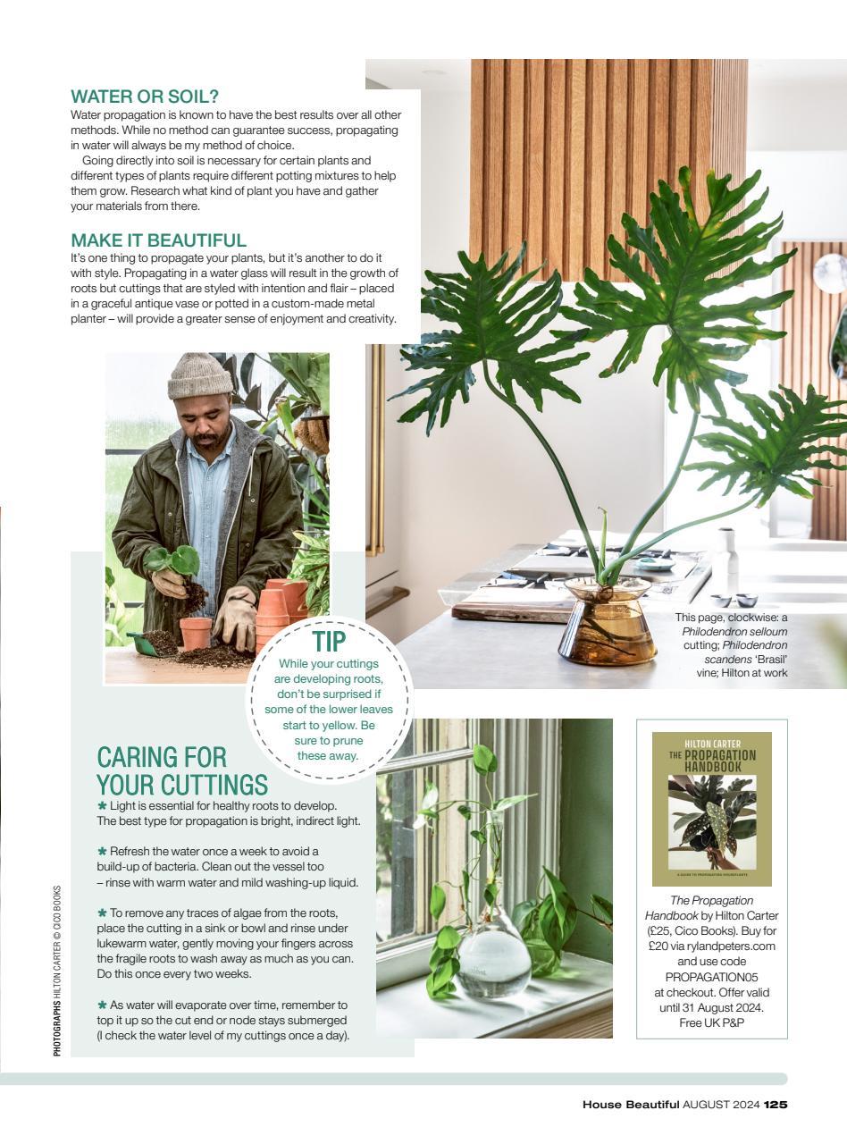 House Beautiful Preview Pages