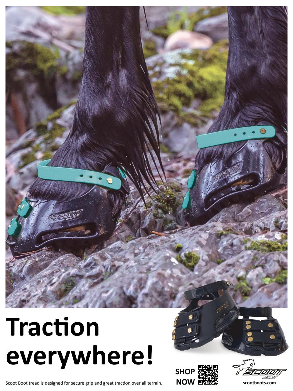 Hoofbeats Preview Pages