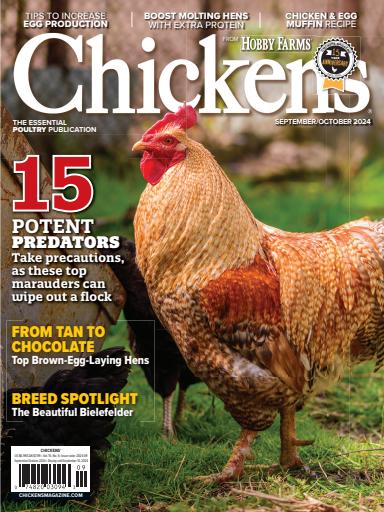 Chickens Magazine issue 