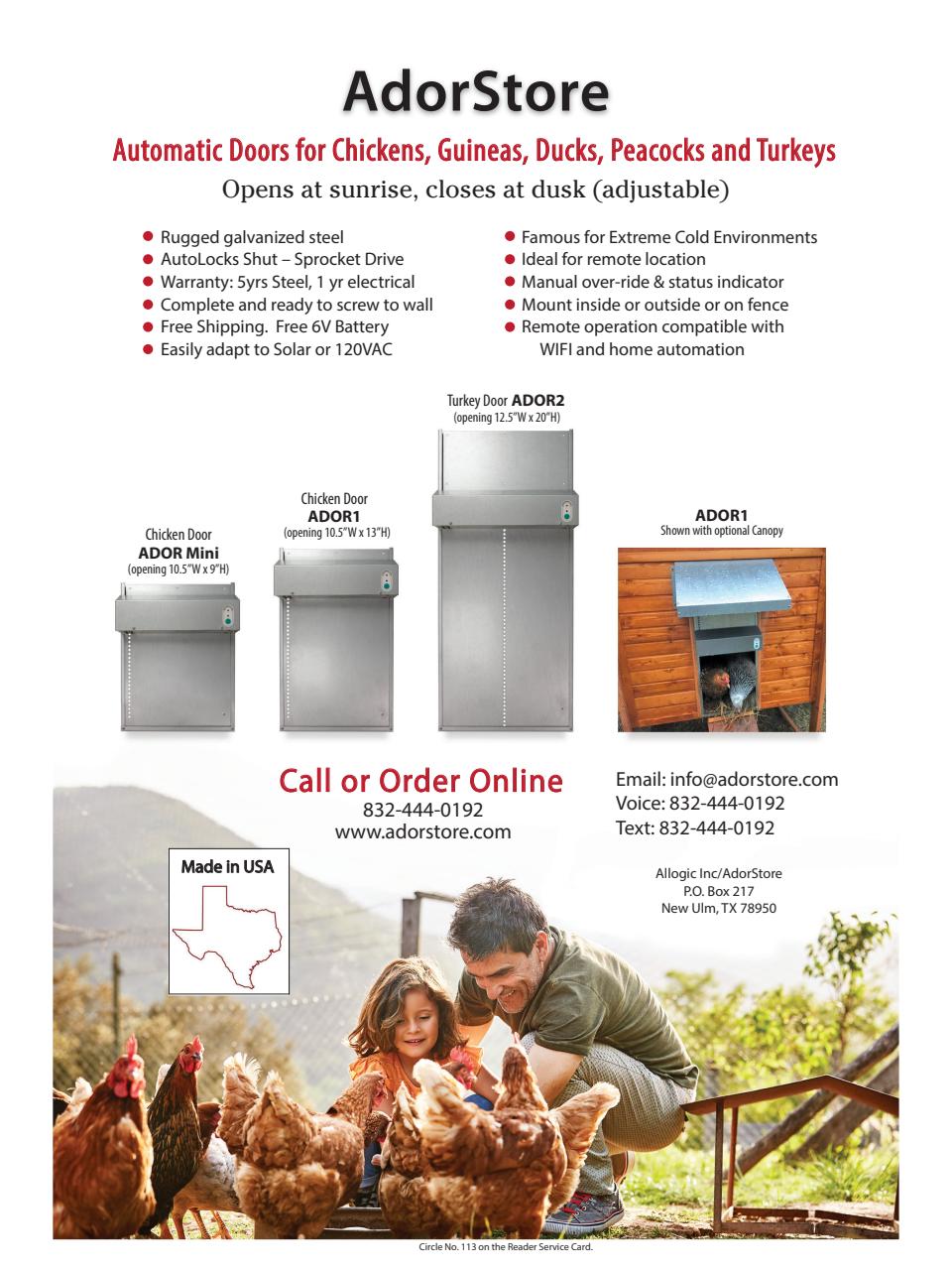 Chickens Magazine Preview Pages