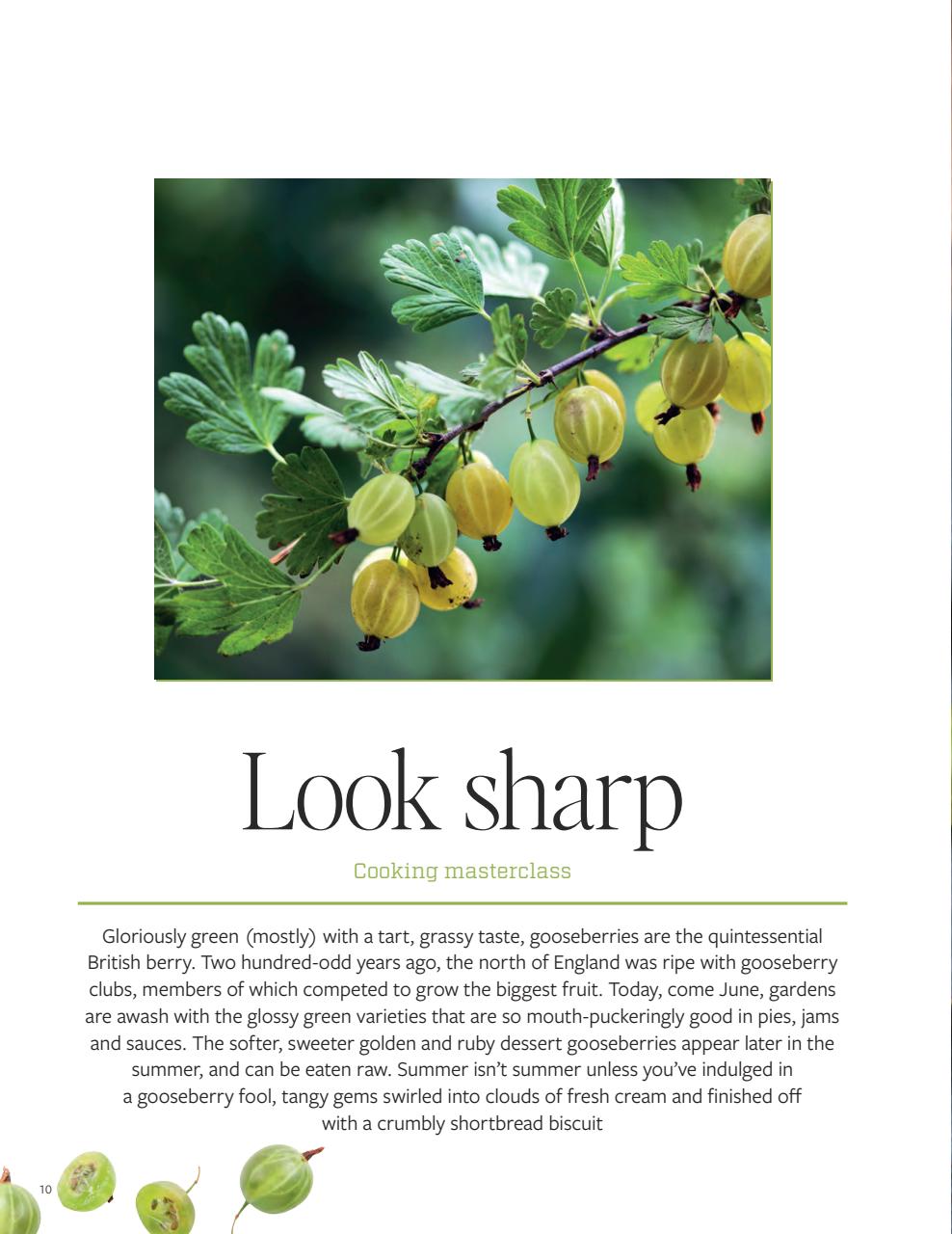 Gather Preview Pages