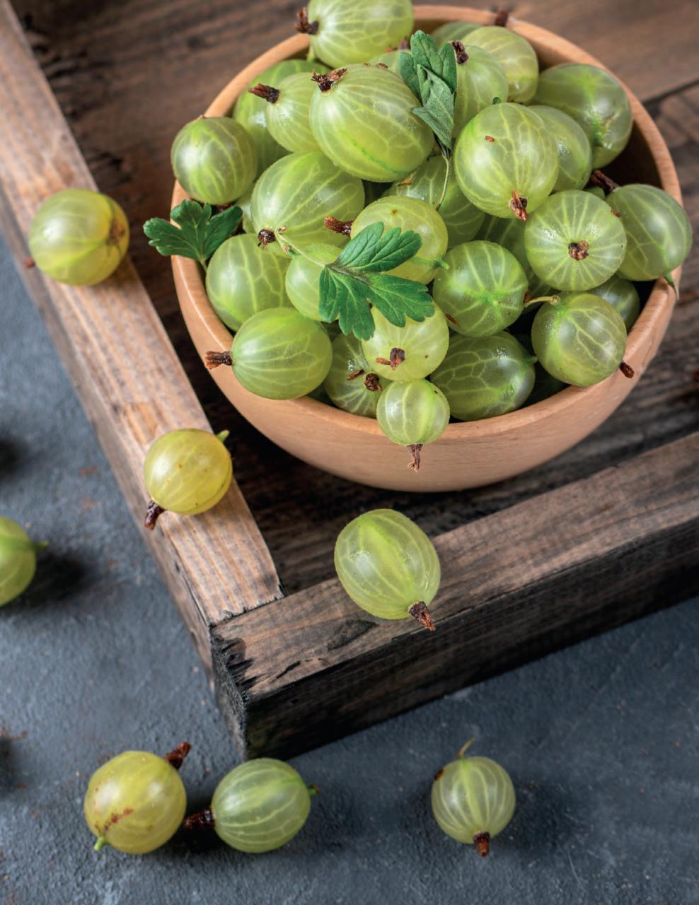 Gather Preview Pages