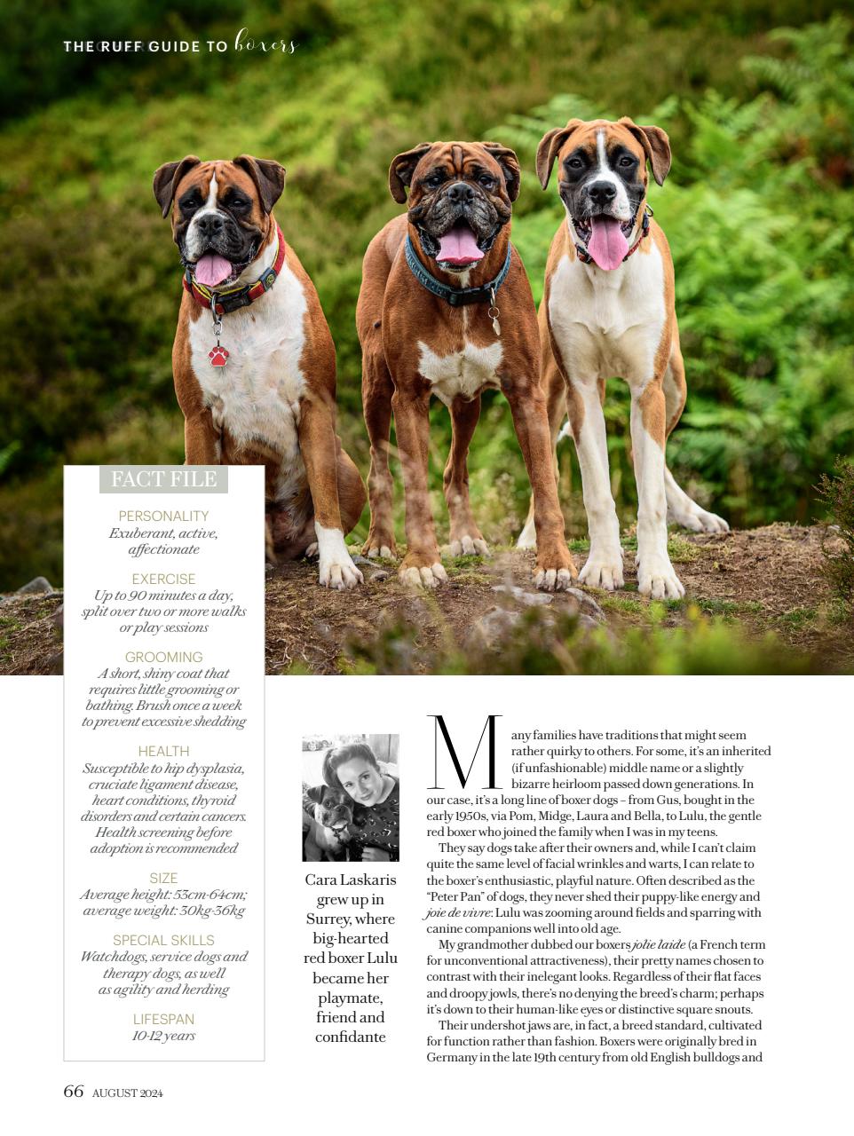 Country Living Preview Pages